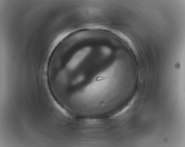 X0000102341231200808011133