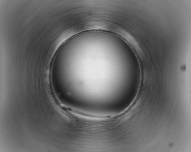 X0000102341234200808011133