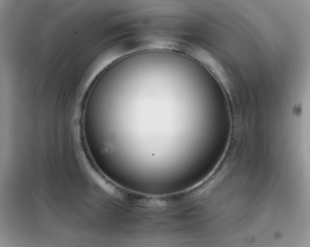 X0000102341235200808011133