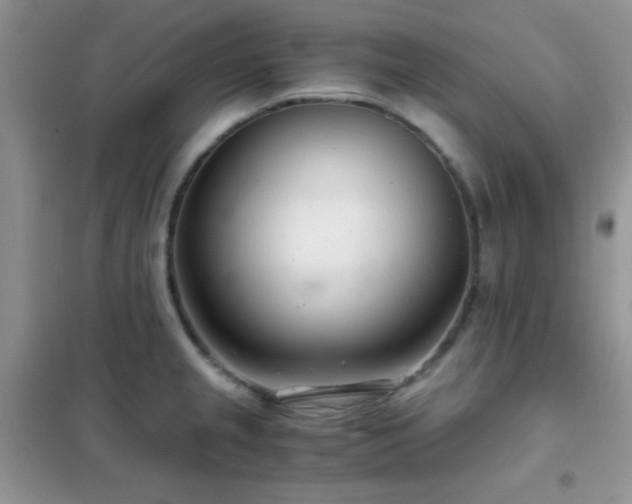 X0000102341237200808011133