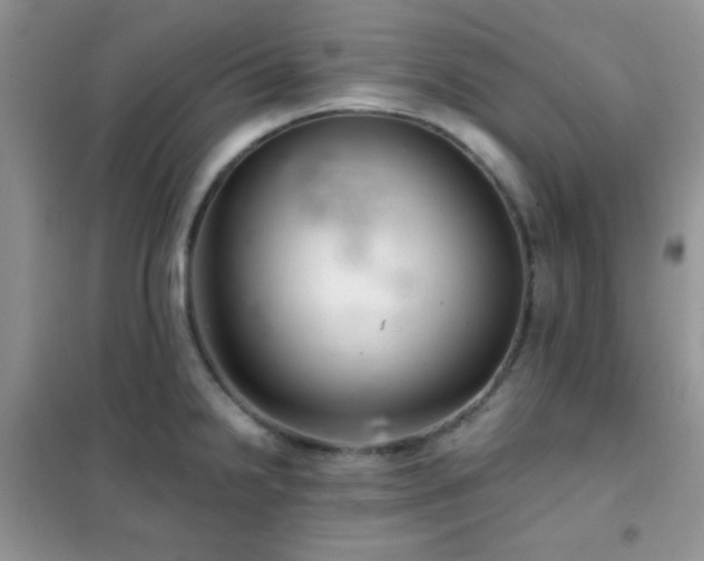 X0000102341238200808011133