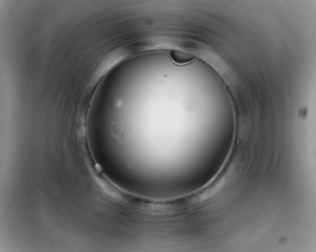 X0000102341241200808011133