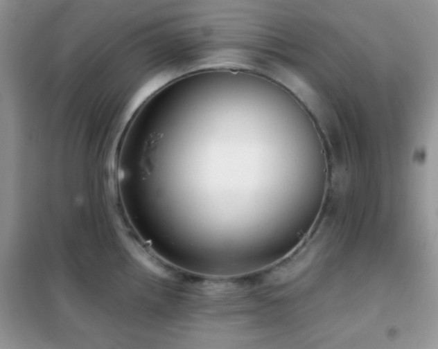 X0000102341242200808011133