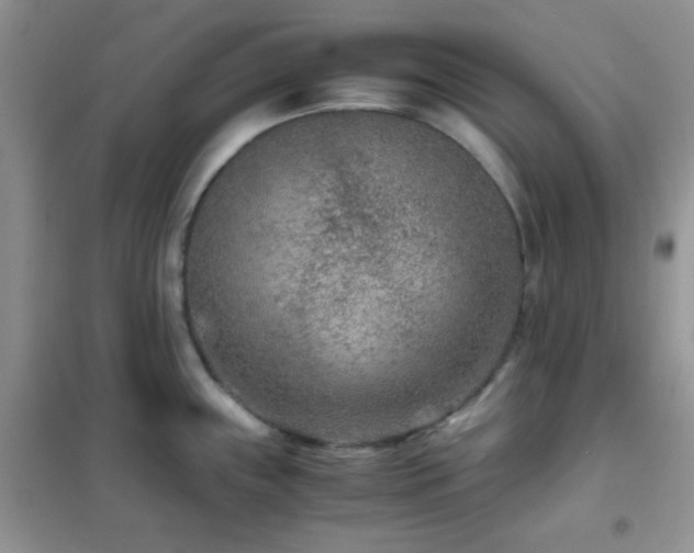 X0000102341243200808011133