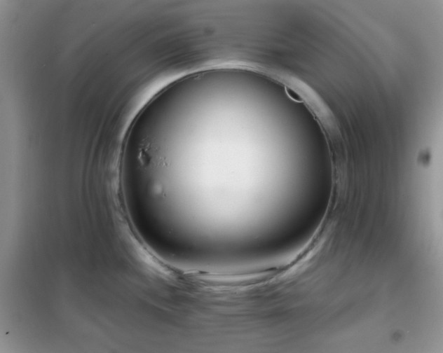 X0000102341244200808011133