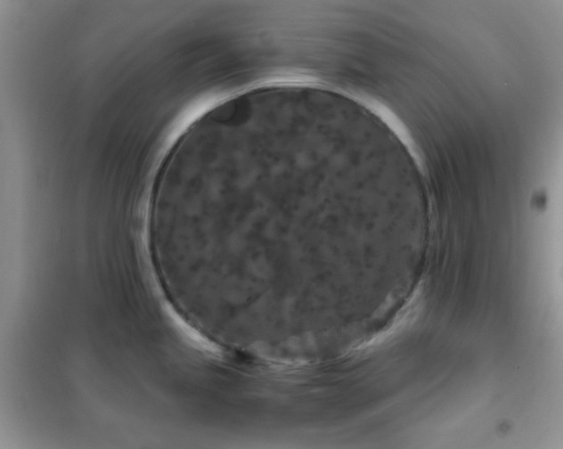 X0000102341245200808011133