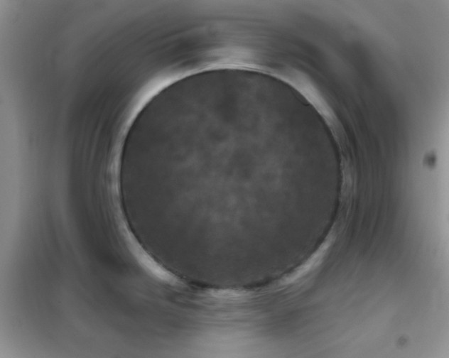 X0000102341246200808011133