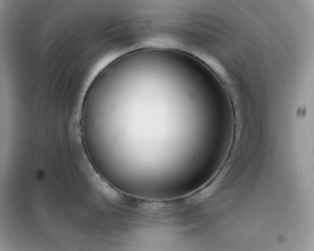 X0000102341248200808011133