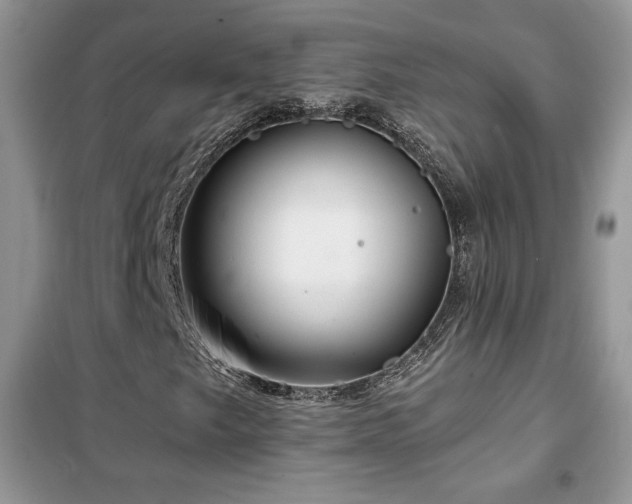 X0000102341249200808011132