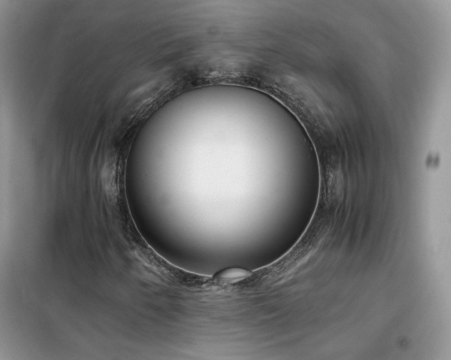 X0000102341250200808011132