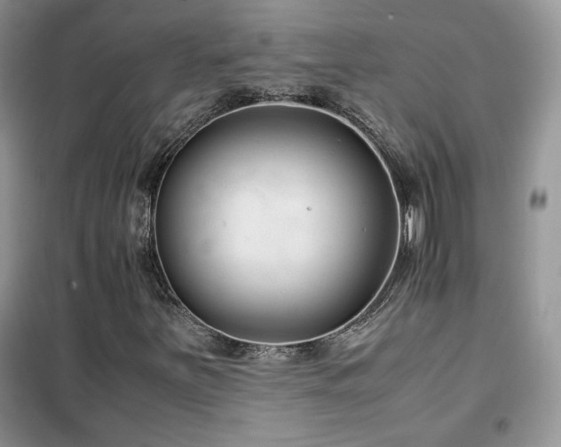 X0000102341251200808011132