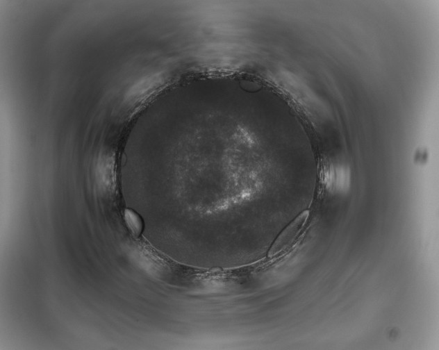 X0000102341252200808011132