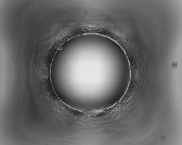 X0000102341253200808011132