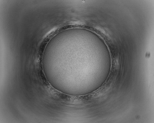 X0000102341254200808011132