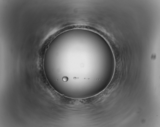 X0000102341255200808011132