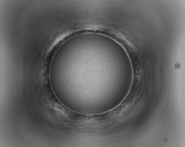 X0000102341256200808011132