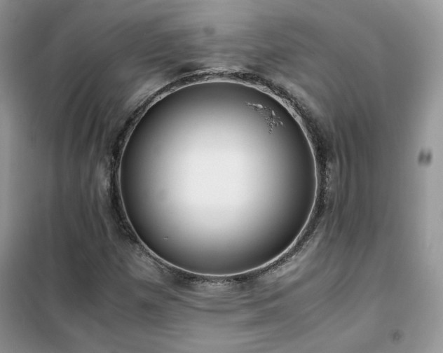 X0000102341257200808011132