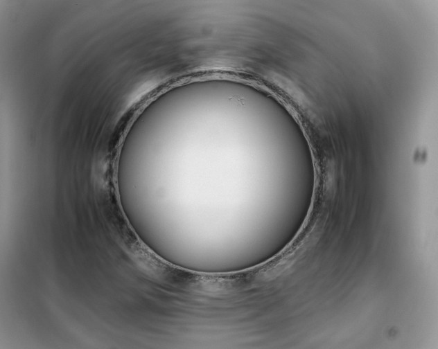 X0000102341258200808011132