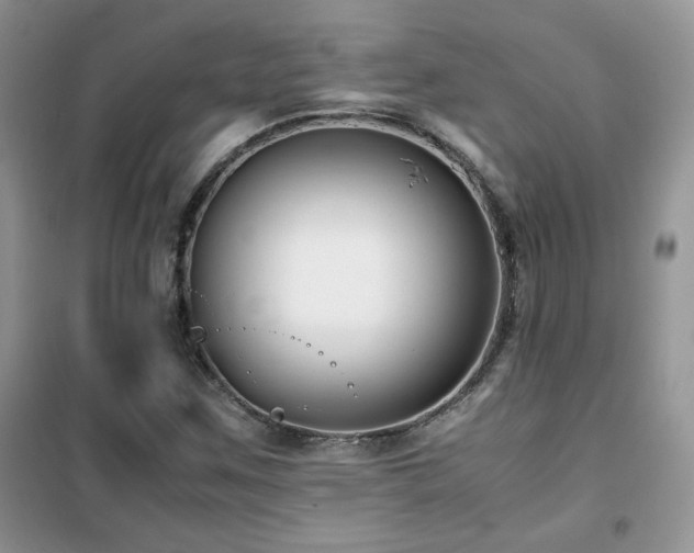 X0000102341259200808011132