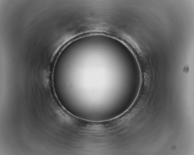 X0000102341260200808011132