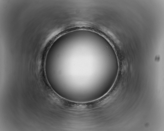 X0000102341261200808011132