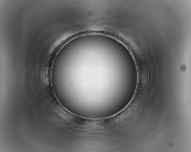 X0000102341262200808011132