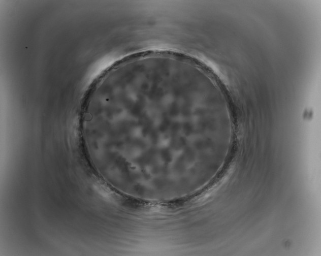 X0000102341263200808011132