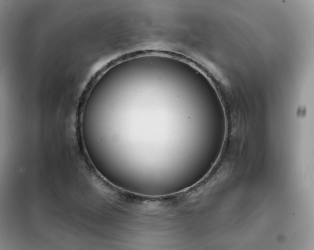 X0000102341264200808011132