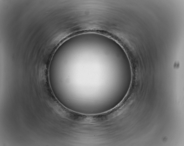 X0000102341265200808011132