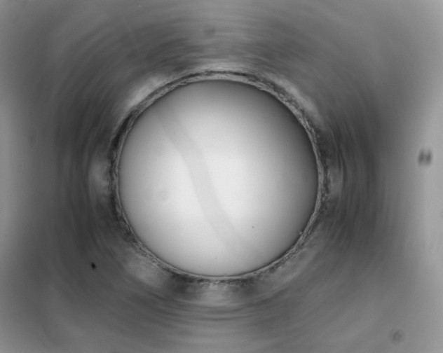 X0000102341266200808011132