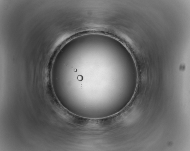 X0000102341267200808011132