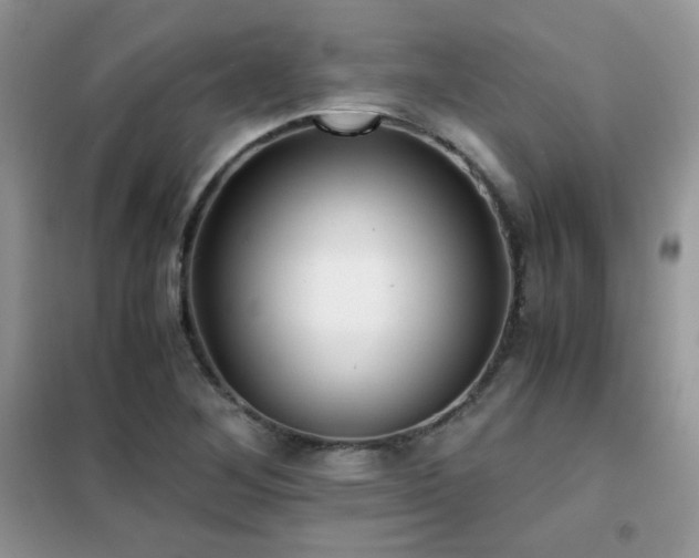 X0000102341268200808011132