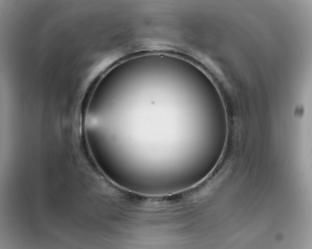 X0000102341269200808011132