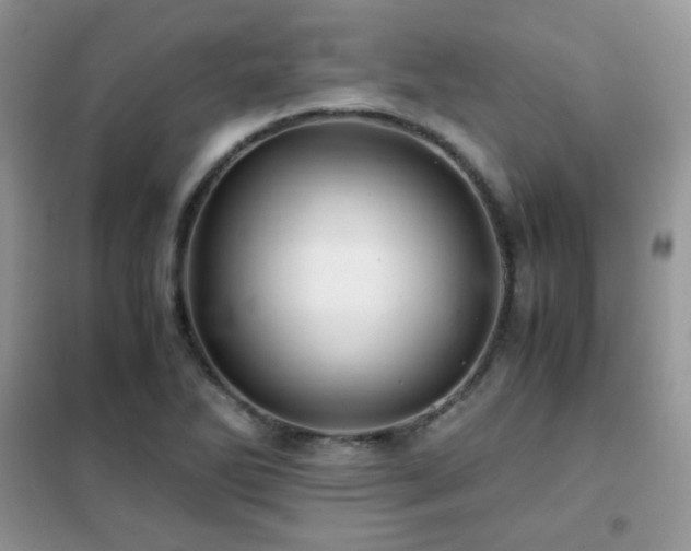 X0000102341270200808011132