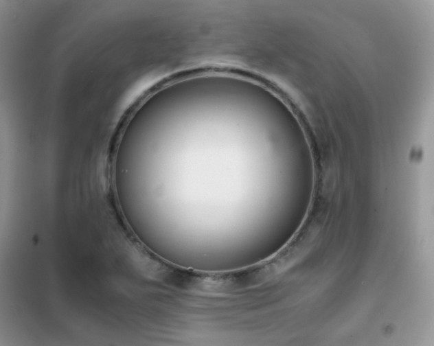 X0000102341271200808011132