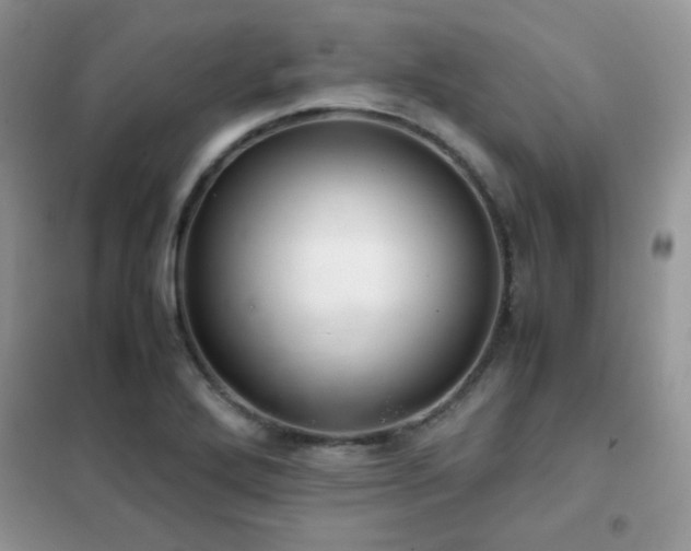 X0000102341272200808011132