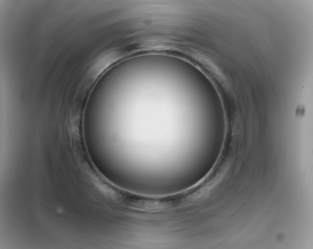 X0000102341273200808011132