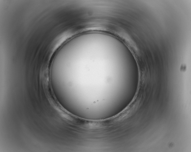 X0000102341274200808011132