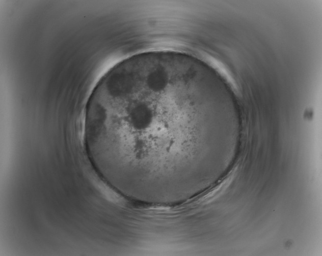 X0000102341275200808011132