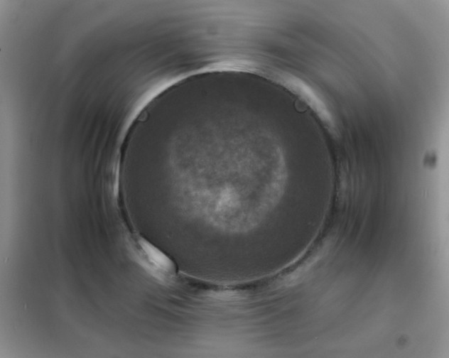 X0000102341276200808011132