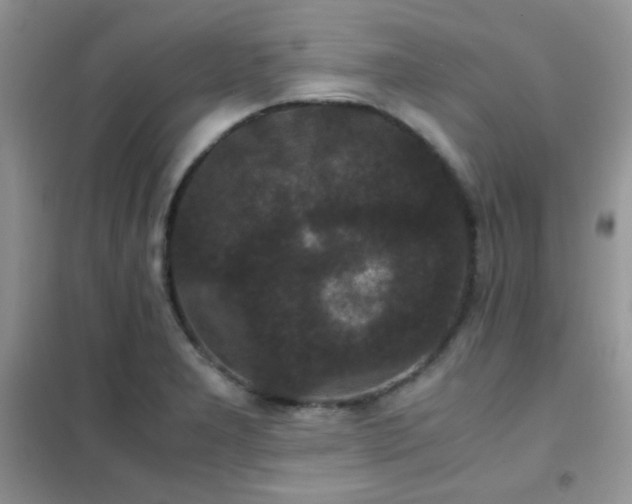 X0000102341277200808011132