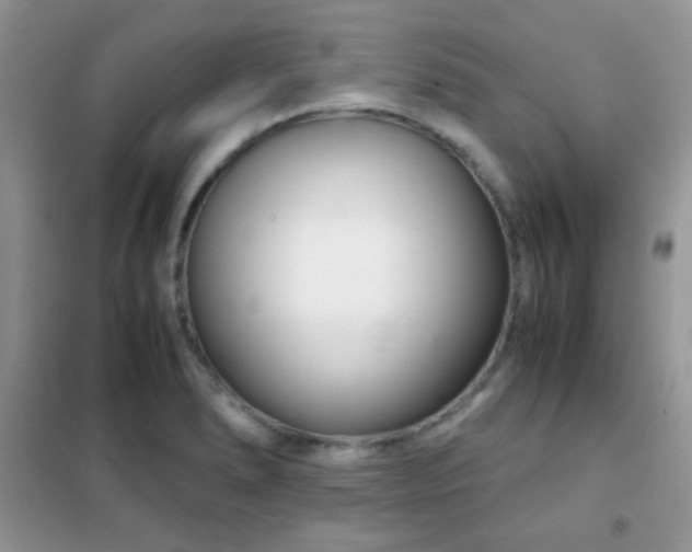 X0000102341278200808011132