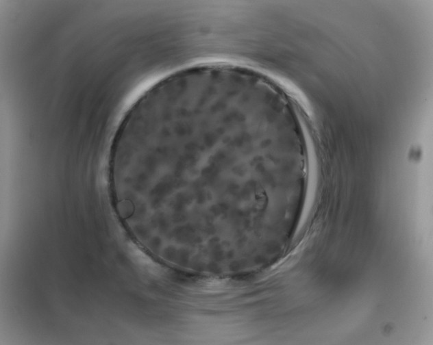 X0000102341279200808011132