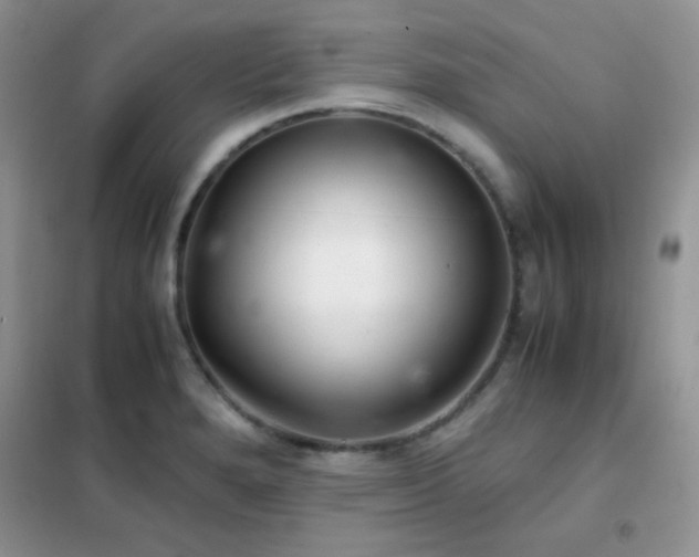 X0000102341280200808011132