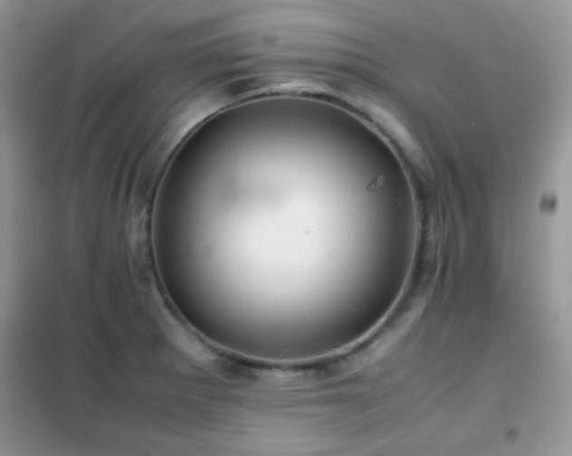 X0000102341281200808011132