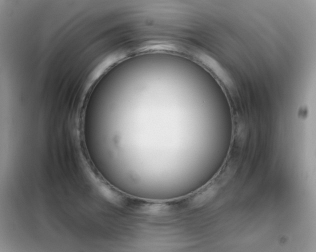 X0000102341282200808011132