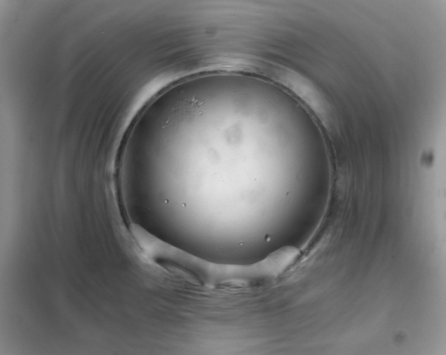 X0000102341283200808011132