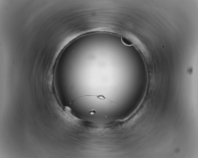 X0000102341284200808011132