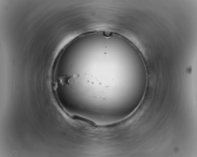 X0000102341285200808011132