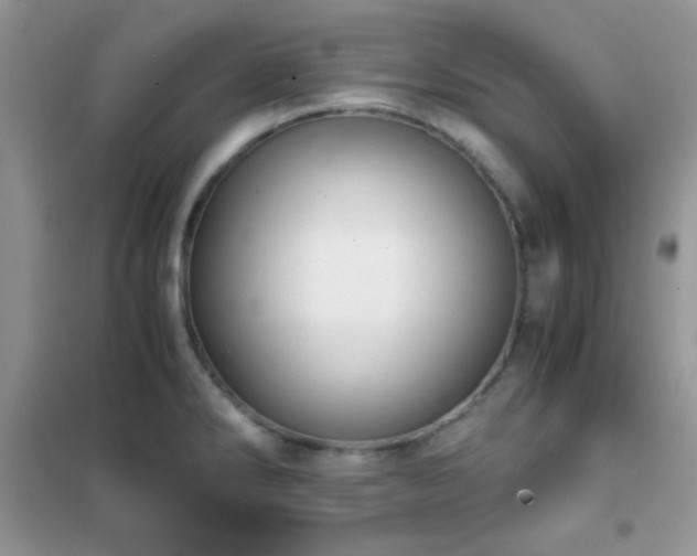 X0000102341286200808011132